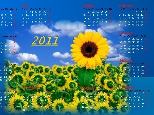 Calendar 2011, Sunflower