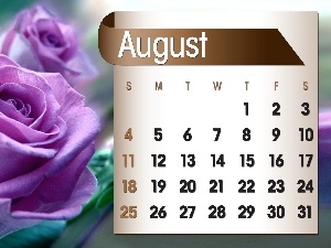 2013, august, Calendar, rose