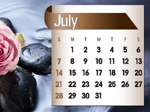 2013, july, Calendar, rose