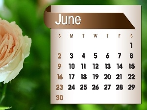2013, june, Calendar, rose
