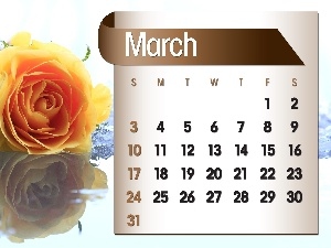 2013, march, Calendar, roses