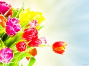 flowers, 3D, bouquet