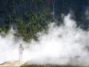 a man, bridges, forest, Fog