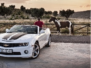 a man, Horse, Chevrolet