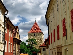 acacia, Houses, Street, Prague, clouds, Sights