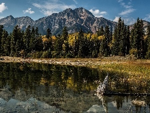 Alberta, River, Mountains, Canada, forest