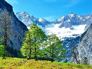 Alps, trees, viewes, Mountains, Austria, snow