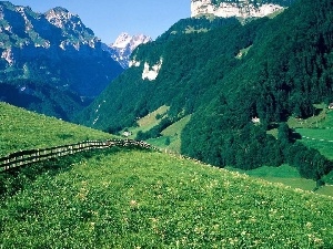 Alps, Meadow, fence, Mountains, Switzerland, forest