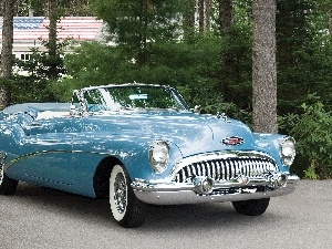 AMERICAN, Buick Skylark 53, antique