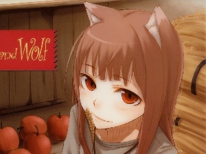 Spice and Wolf