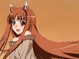 Spice and Wolf