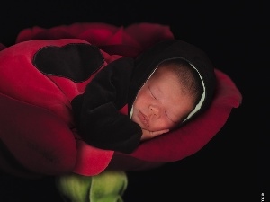Anne Geddes, ladybird, Sleeping, babe