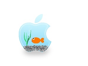 Apple, aquarium