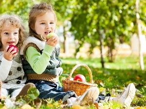 apples, basket, Kids, Meadow