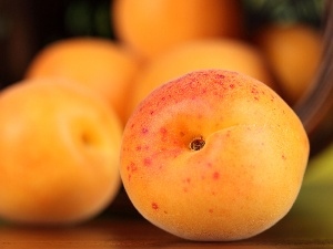 apricots, Mature