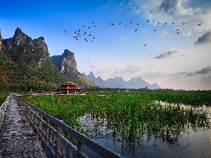 arbour, Platform, Mountains, pool