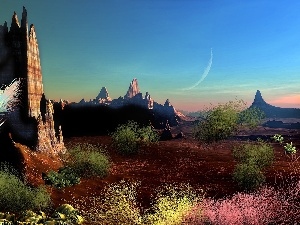 Art, Plants, Desert, rocks