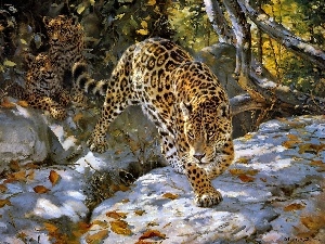 Art, snow, trees, Jaguar, viewes