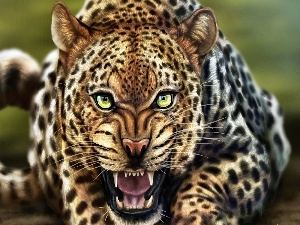 Leopards, Art, furious