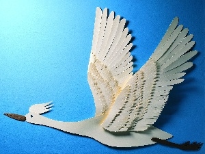 art Paper, flight, White, Bird