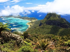 Australia, Volcanic, Lord Howe, Island