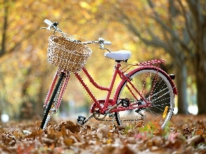 autumn, Leaf, Bike, Park