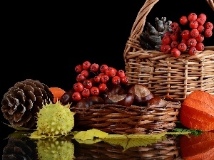 composition, Autumn, Baskets, chestnuts, harvest, Plant, cones