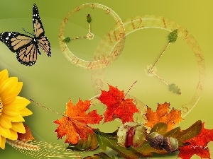 autumn, butterfly, Sunflower, graphics, Leaf