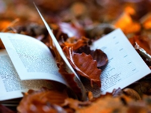 Leaf, autumn, Book