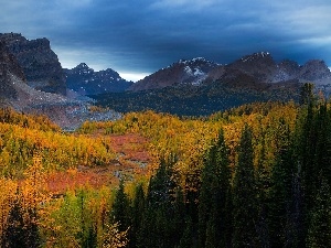 autumn, River, Mountains, woods