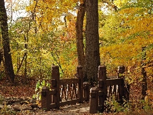 autumn, Leaf, Park, bridges