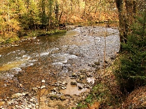 autumn, Stones, River, forest