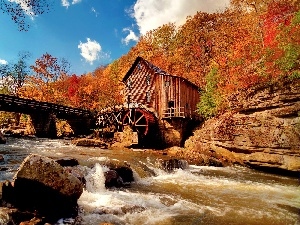 autumn, forest, Windmill, River