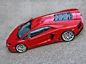 Lamborghini Aventador, claret