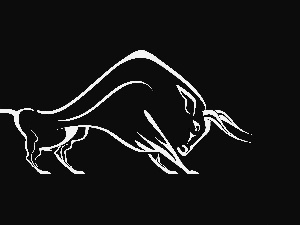 Black, background, Bull