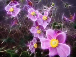 fuzzy, background, Flowers