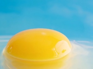 background, Blue, yolk, egg