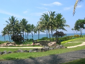 Bali, Palms, Park, bridges