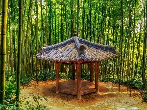 forest, bamboo, arbour