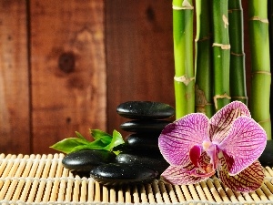 bamboo, mat, orchid, Stones
