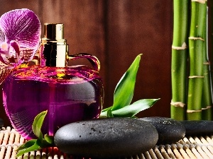bamboo, Stones, composition, perfume, orchids
