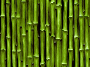 bamboo