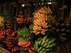 bananas, bunches