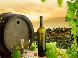 Wine, barrel, grapes