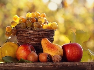 autumn, basket, Fruits