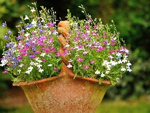 earthen, basket, lobelia