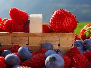 basket, Fruits