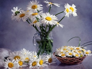 basket, Vase, Margaretki, bouquet