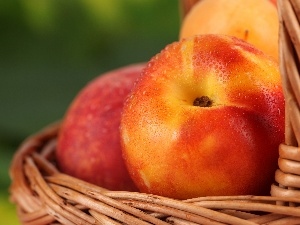 basket, nectarines