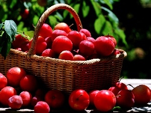 plums, basket, Red